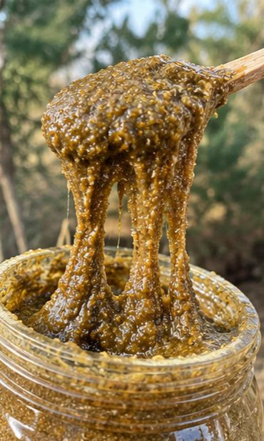 معجون مخصوص کبد چرب ( ترکیب شده با عسل 40 گیاه کوهی )