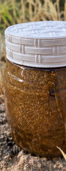 معجون مخصوص کبد چرب ( ترکیب شده با عسل 40 گیاه کوهی )